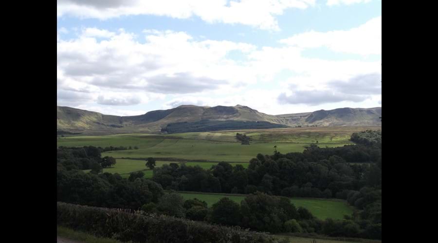 View from the garden